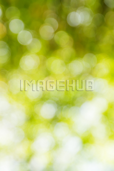 이미지 미리보기