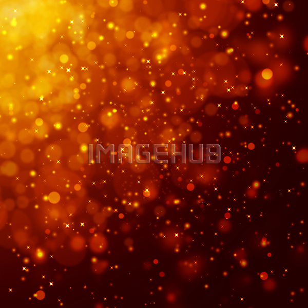 이미지 미리보기