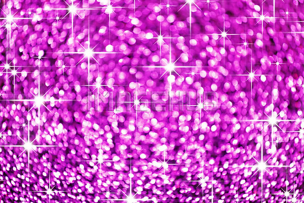 이미지 미리보기