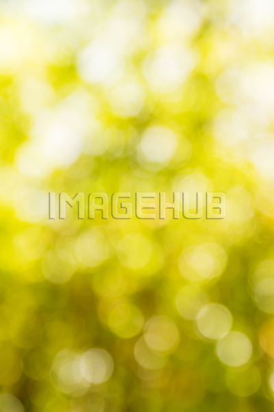 이미지 미리보기