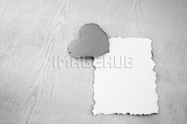 이미지 미리보기