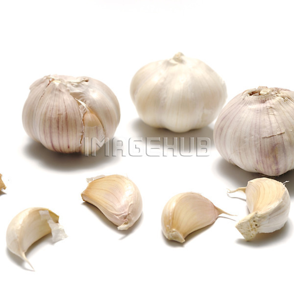 이미지 미리보기