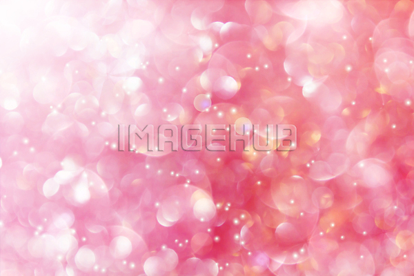 이미지 미리보기