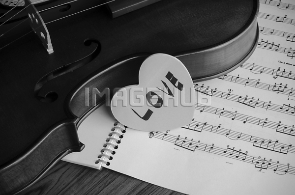 이미지 미리보기