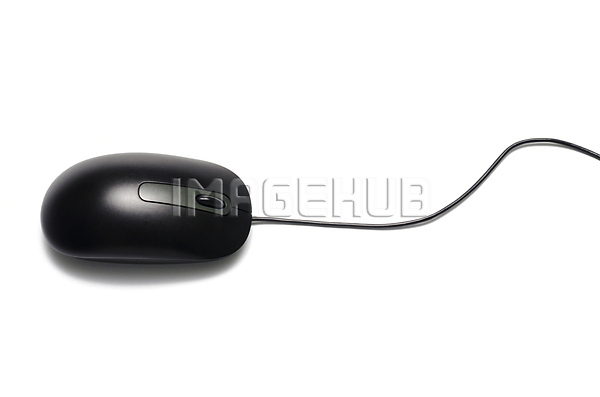 이미지 미리보기