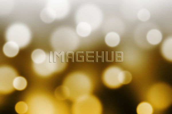 이미지 미리보기