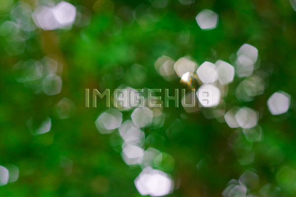 이미지 미리보기