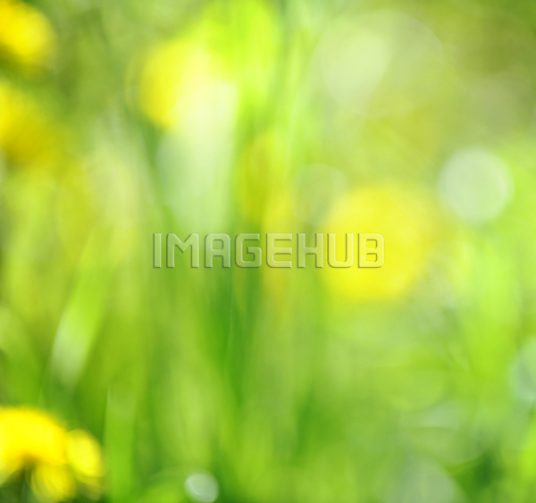 이미지 미리보기