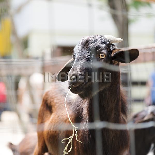 이미지 미리보기