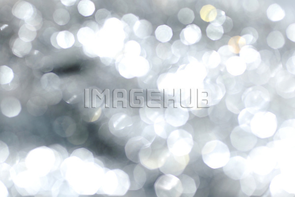 이미지 미리보기