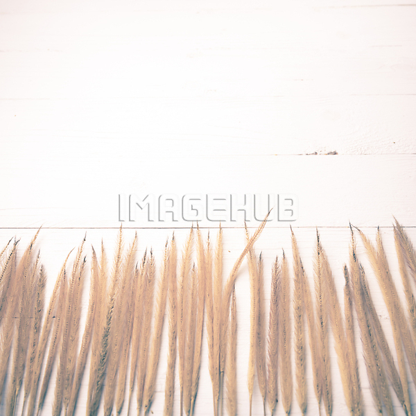 이미지 미리보기