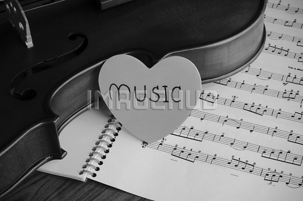 이미지 미리보기