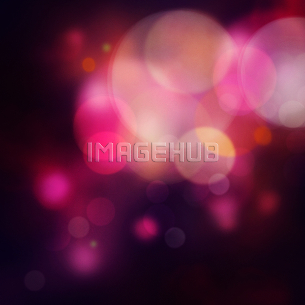 이미지 미리보기