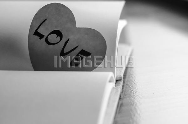 이미지 미리보기