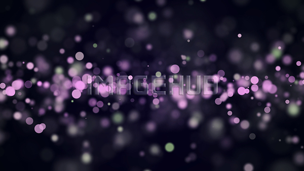 이미지 미리보기