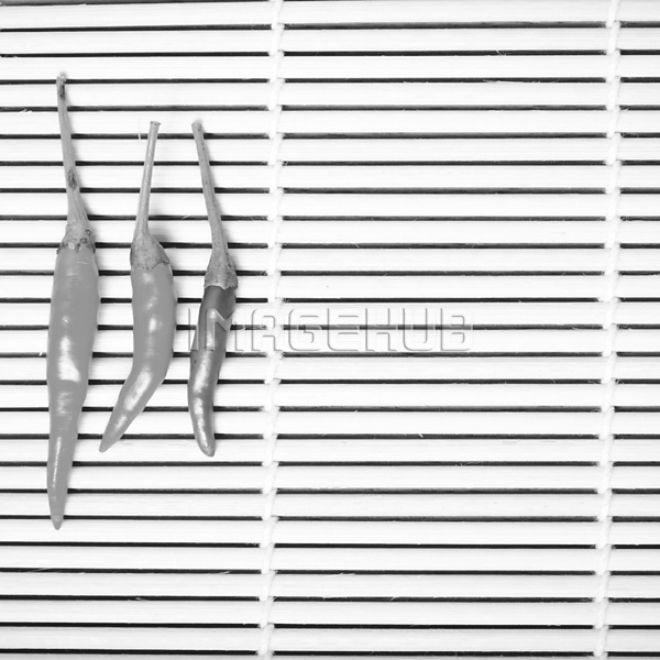 이미지 미리보기