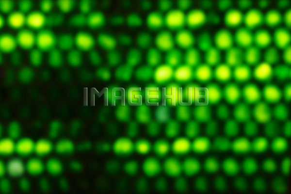 이미지 미리보기