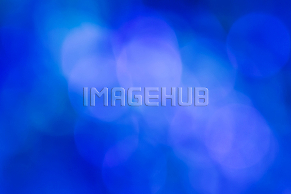 이미지 미리보기