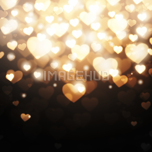 이미지 미리보기