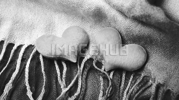 이미지 미리보기