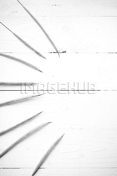 이미지 미리보기