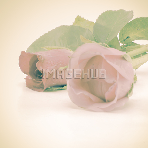 이미지 미리보기