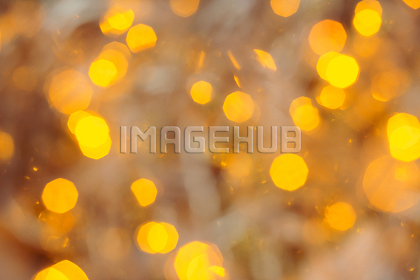 이미지 미리보기