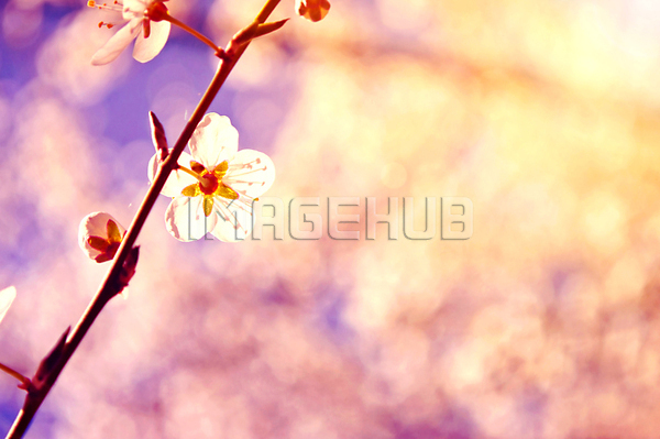 이미지 미리보기