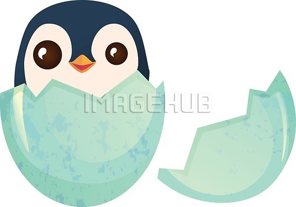 이미지 미리보기