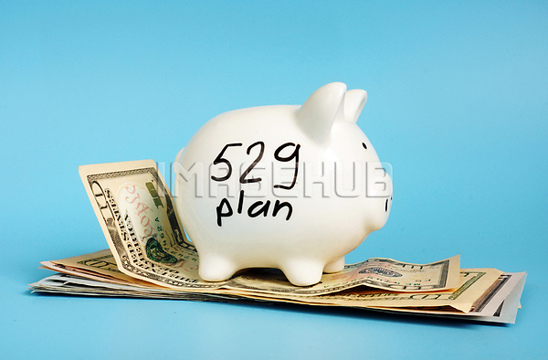 이미지 미리보기