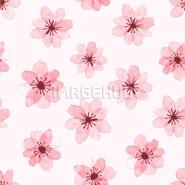 이미지 미리보기