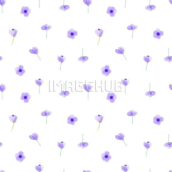 이미지 미리보기