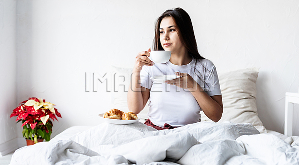 이미지 미리보기