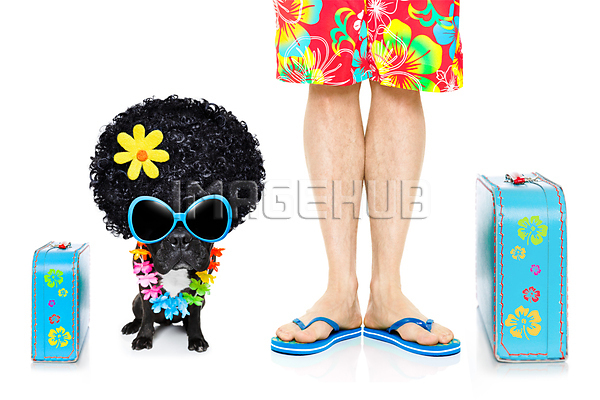 이미지 미리보기