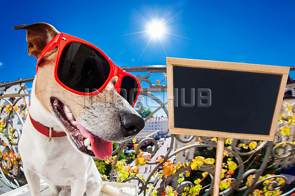 이미지 미리보기