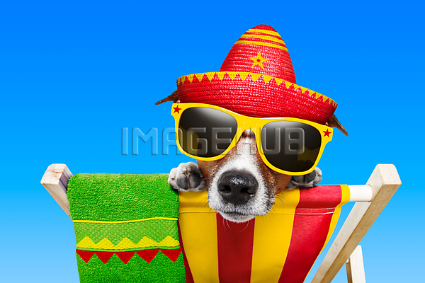 이미지 미리보기