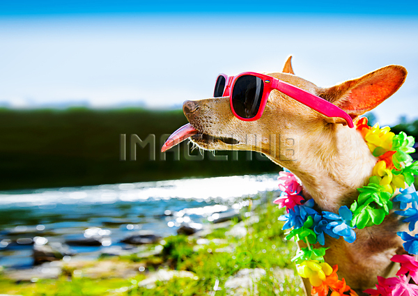 이미지 미리보기