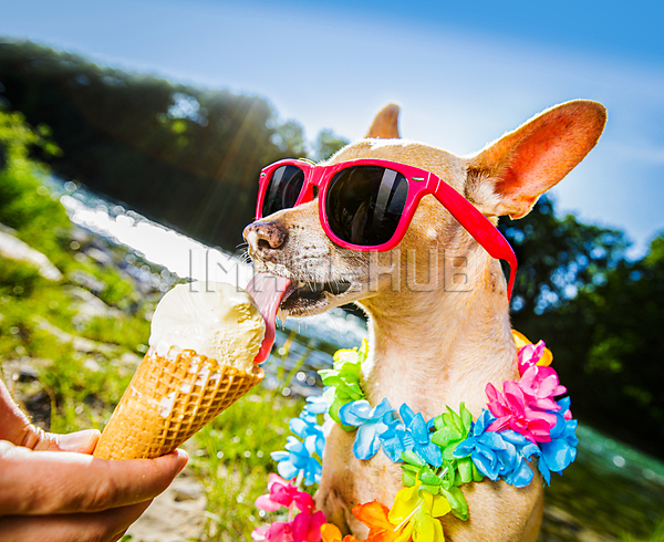 이미지 미리보기