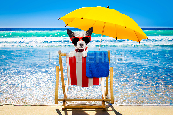 이미지 미리보기