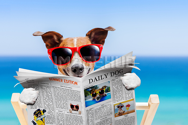 이미지 미리보기