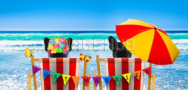 이미지 미리보기