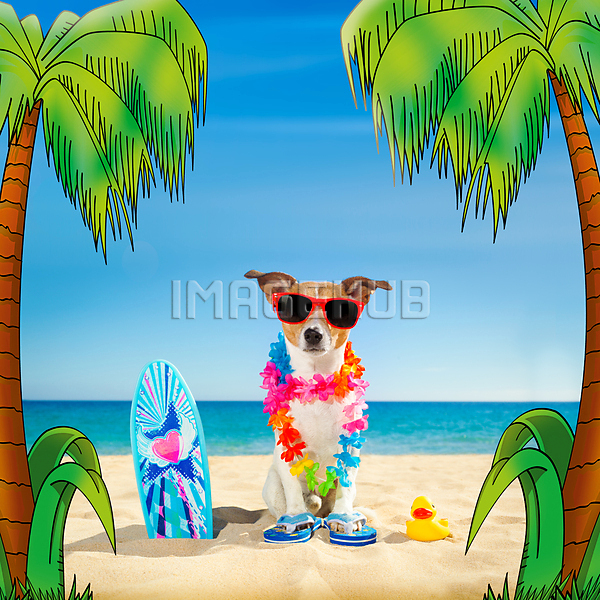 이미지 미리보기