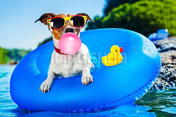 이미지 미리보기