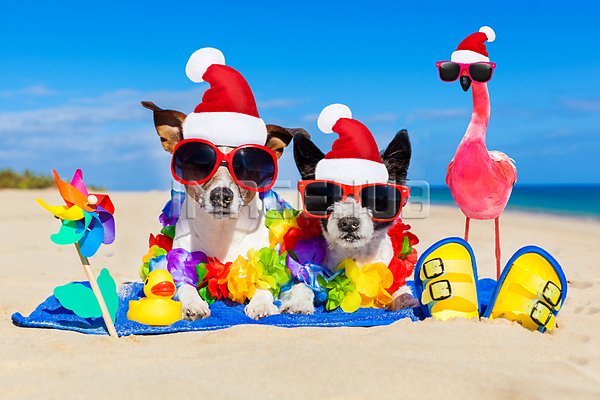 이미지 미리보기