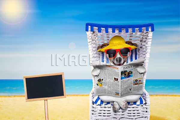 이미지 미리보기