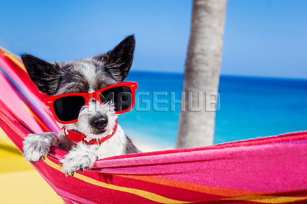 이미지 미리보기