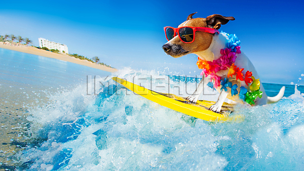 이미지 미리보기