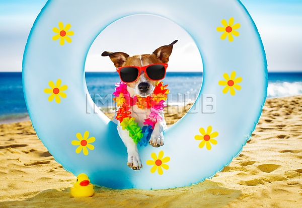 이미지 미리보기