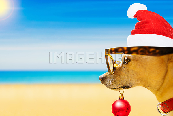 이미지 미리보기