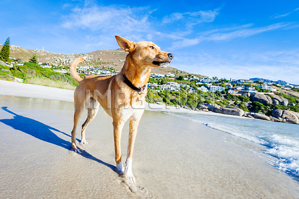 이미지 미리보기